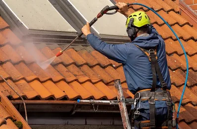 Démoussage et hydrofuge de toiture à Dercé